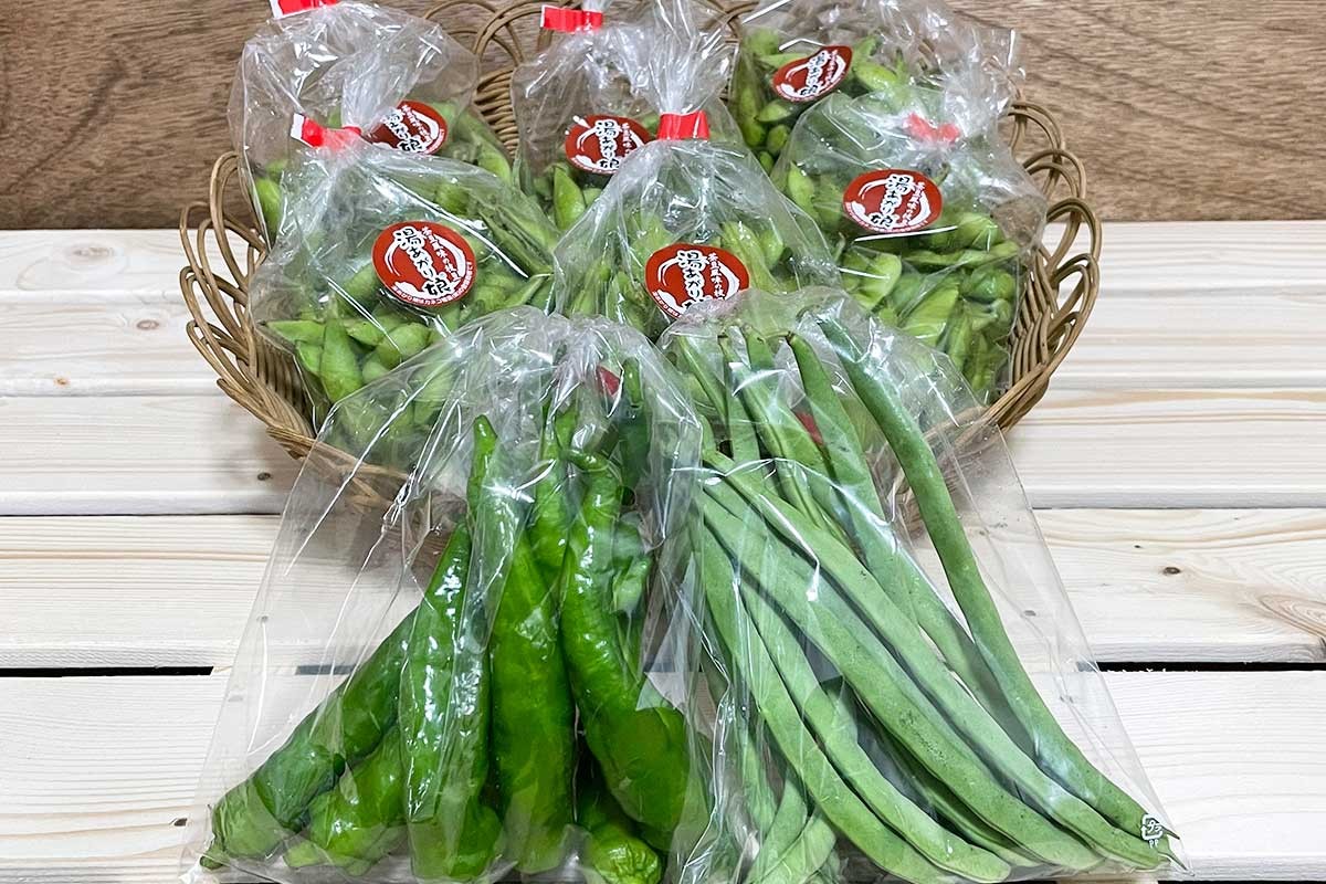 極上枝豆 湯あがり娘 おすすめ野菜セット 4 480 エコチョク